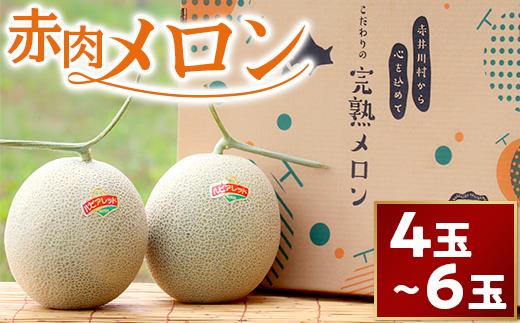（ルピアレッド）【４～６玉入】やなぎさわ農園の甘い赤肉メロン