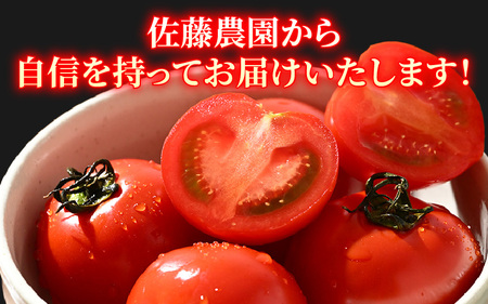【先行予約】ミディトマト 越のルビー 約2kg 10パック（8パック＋品質補償2パック）／ 福井県産ブランドトマト 農家直送 有機肥料 低農薬 ※2026年9月下旬より順次発送 [aw069-a005