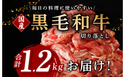 【3パック】味付け 黒毛和牛切り落とし 1.2kg 小分け 400g×3 訳あり 部位不揃い 特別寄附金額 CFX0005