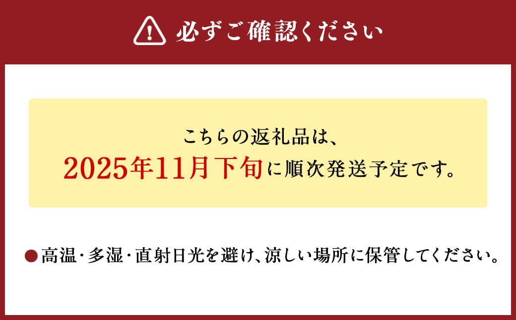 【2025年11月下旬発送開始】熊本県産 生にんにく1kg