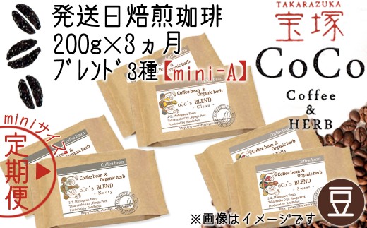 【宝塚】3ヶ月定期便miniA(発送日自家焙煎珈琲豆・CoCoブレンド3種 計600g)【豆】