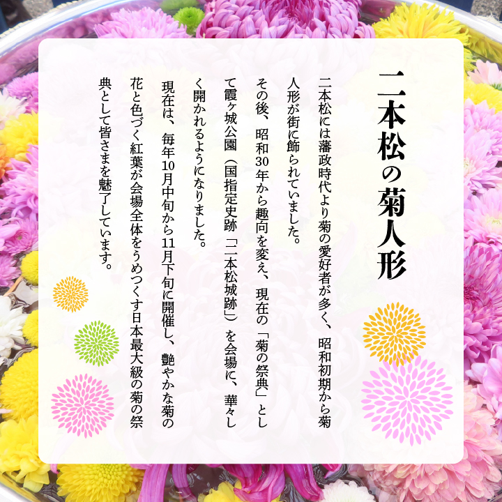 《2026年9月以降順次発送》二本松の菊人形 ペア 入場券 二本松の菊人形 菊人形 菊 入場券 チケット 観光 観覧券 おすすめ お中元 お歳暮 ギフト 送料無料 二本松市 ふくしま 福島県 送料無料
