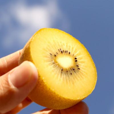 ふるさと納税 香川県 キウイ　鮮やか黄金に輝くゴールドキウイ(さぬきゴールド)　900g(5〜6玉)