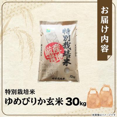 ふるさと納税 岩見沢市 令和7年産!ファーム坂口の特別栽培米 ゆめぴりか玄米 30kg (30kg×1袋) |  | 02