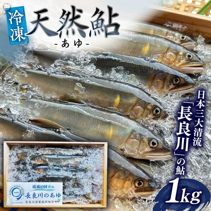 【ふるさと納税】天然鮎(冷凍) 1kg＼申し込みは9月30日まで／【世界農業遺産】清流長良川 8月〜9月申込 産地直送 新鮮 あゆ 岐阜市/SONAMU[ANEX003]