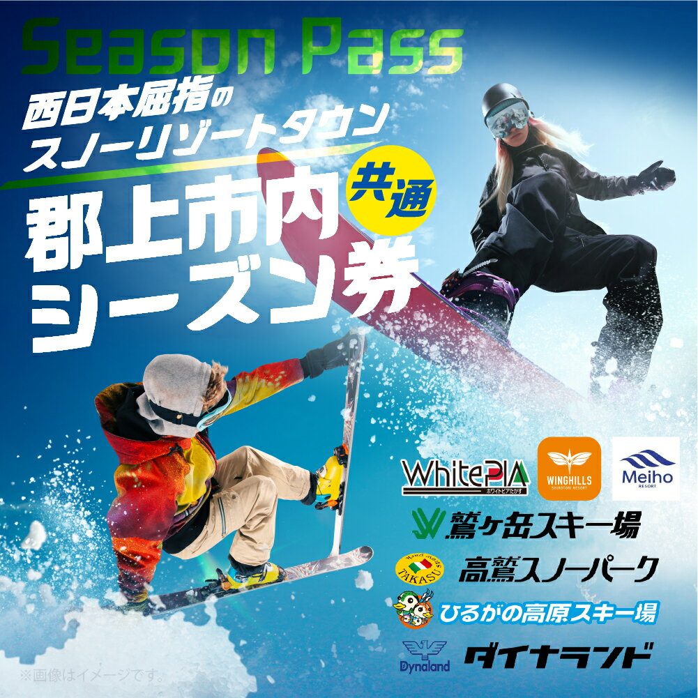 【ふるさと納税】年内発送 岐阜県郡上市 スキー場 シーズン券 引換券 2025-2026 高鷲・白鳥・明宝エリア利用可 ダイナランド・高鷲・めいほう・鷲ヶ岳・白鳥・ひるがの・ホワイトピア 対応 チケット リフト券 その他 あとから選べる 250000円 年内配送 年内お届け 12月