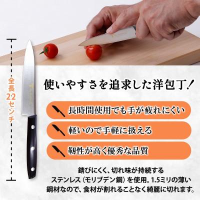 ふるさと納税 美濃市 N60シリーズペティナイフ120mm 竹内刃物製作所  抜群の切れ味 岐阜 美濃市 |  | 01