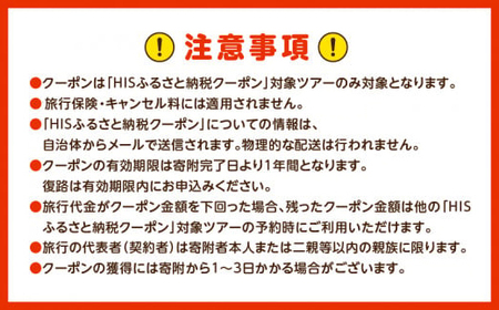 【60,000円分】大分県 別府市 の 対象ツアー に 使える HIS ふるさと納税 クーポン 寄附額200,000円 ツアー 宿泊 旅行 旅 トラベル お出かけ 温泉 家族旅行 観光 ホテル 旅館 