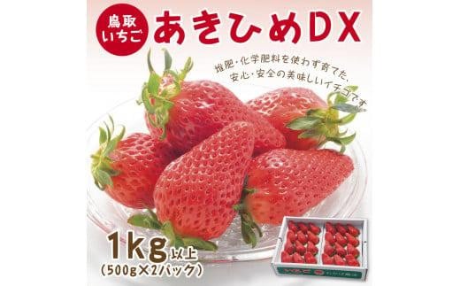 あきひめDX 1kg 鳥取いちご【とみハウス】