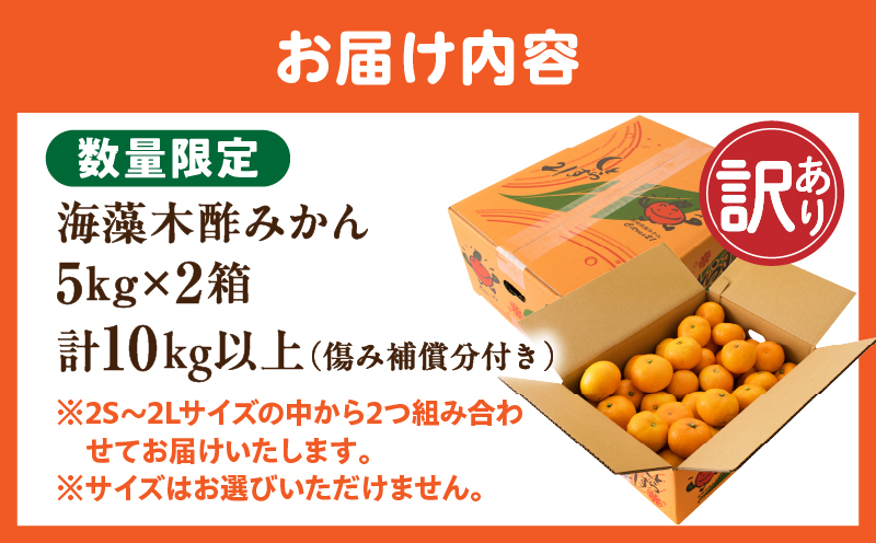 訳あり 数量限定 海藻木酢みかん 計10kg以上 傷み補償分付き フルーツ 果物 くだもの 柑橘 みかん 国産 期間限定 食品 家庭用 自宅用 B品 わけあり オレンジ デザート おやつ おすすめ お