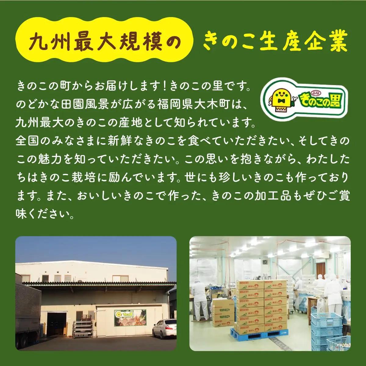 大木町のきのこセット(ぶなしめじ・ゆきれいたけ・王リンギ・えのきたけ各1パック)　AT25