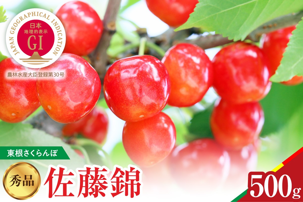 
                  【2027年産 先行予約】 GI東根さくらんぼ 佐藤錦 秀品 500g Lサイズ以上 山形県 東根市 松栗提供 hi062-044-r9 ふるさと納税 フルーツ 果物 くだもの 期間限定 取り寄せ グルメ 特産 産地直送
                