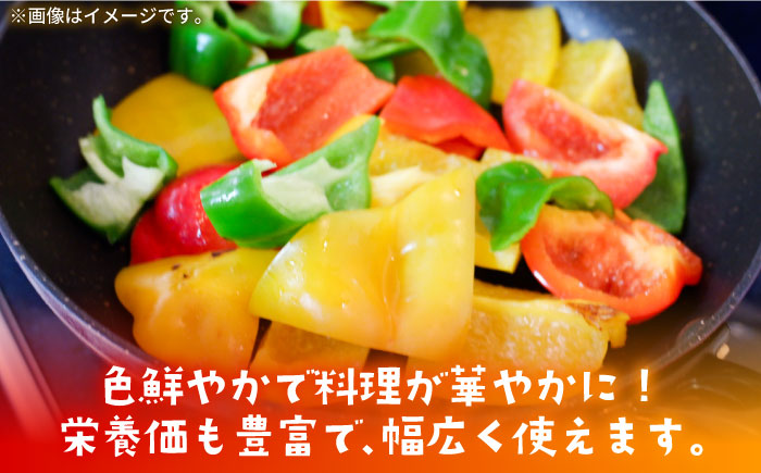 【肉厚＆ジューシー】五島のパプリカ 計8個 五島市/HPIファーム [PCP007]