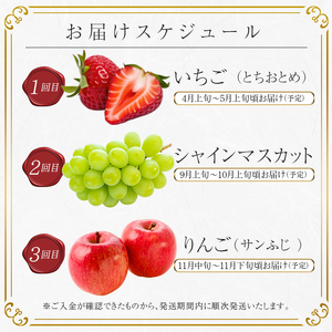 ＜2026年春から開始の定期便＞伊達なフルーツ定期便 (いちご・ぶどう・りんご) 果物 フルーツ 苺 イチゴ 葡萄 ブドウ 林檎 リンゴ 福島県 伊達市  F21C-244