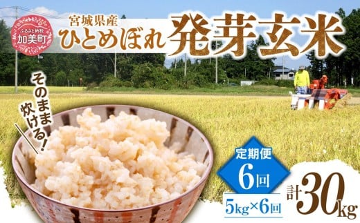 【6回定期便】 簡単に炊ける 宮城県産 ひとめぼれ 発芽玄米 5kg 計30kg(5kg×6回) [菅原商店 宮城県 加美町] 米 こめ コメ 玄米 発芽玄米 ご飯 | sg-hb05-hg-t6