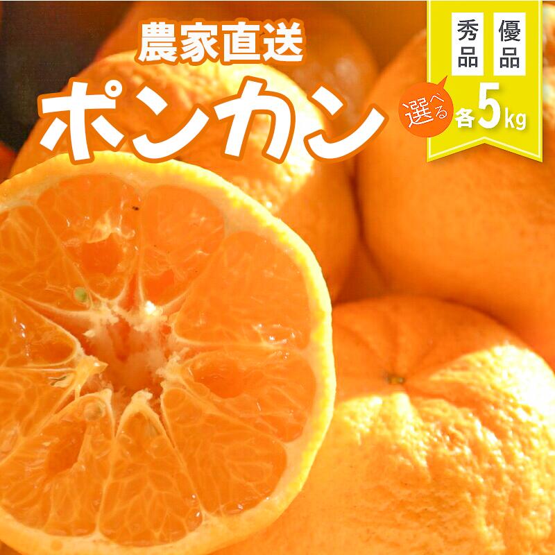 【ふるさと納税】 ポンカン 5kg 2027年1月より順次発送 先行予約 早期予約 秀品 優品 手摘み 選べる 早生 名産 浦ノ内産 高知県産 産地直送 ポンカン ぽんかん みかん 蜜柑 柑橘 フルーツ 果物 くだもの 果実 国産 冬の味覚 お取り寄せ 完熟 ギフト 贈答用 高知県 須崎市