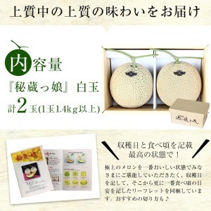 【春限定】極上メロン「秘蔵っ娘」白玉(青肉)2個 メロン マスクメロン 果物 くだもの デザート 青肉 b5-037-s