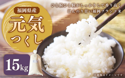 【2026年12月発送】【令和8年産】福岡県ブランド米「元気つくし」15kg 米 お米 白米 精米 岡垣町