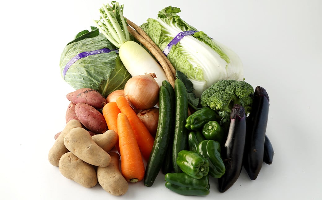 生産者応援 採れたて新鮮 旬のお野菜 詰め合わせセット