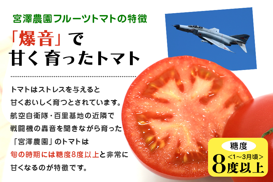 【数量限定 先行予約】＜2024年11月出荷開始予定＞ 爆音トマトと呼ばれるフルーツトマト「百里百」 2kg 甘い 酸味 肉厚 大玉 産地直送 とまと 健康 リコピン 百里基地 戦闘機 国産 茨城県 