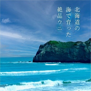 ≪贈り物≫幸雲丹80g(ムラサキ 北海道産)ウニ うに 雲丹【余市のうに】ギフト プレゼント 北海道 ムラサキウニ 白うに 白雲丹 冷凍ウニ 冷凍うに 世壱屋_Y038-0134