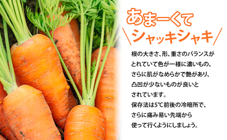 【2026年夏～発送】富良野産 にんじん 約10kg  S～Lサイズ混合 野菜 人参 道産