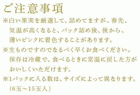 『予約受付』【令和7年2月中旬発送】唐津産 白いちご「雪うさぎ」苺 イチゴ 希少 果物 フルーツ ハマファーム