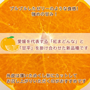 【2026年3月から発送予定】 愛果48号 小玉 2kg 愛媛県 中島産 |あいか 家庭用 先行予約 高級 蜜柑 ミカン みかん ジューシー 甘い  柑橘  人気 お取り寄せ  期間 数量 限定 愛媛