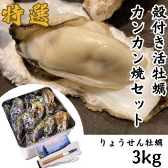 殻付活牡蠣カンカン焼セット3kg(加熱用)（予約受付中：旬にお届け！2025年1月頃から期間限定出荷！）【H-1】