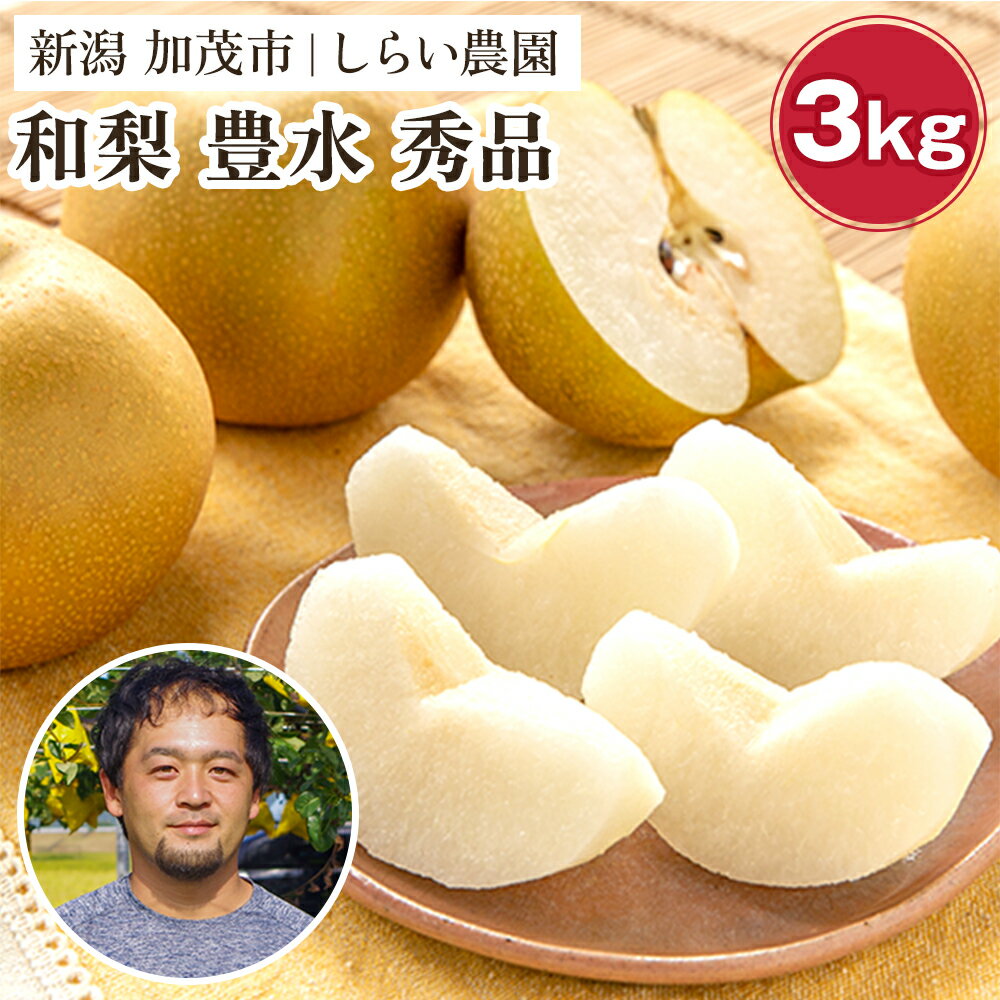 【ふるさと納税】【2026年先行予約】しらい農園の和梨 豊水 秀品3kg（5〜9玉） 《9月中旬～順次発送》 果実 フルーツ 贈答 ギフト 甘くてジューシーな梨 なし ほうすい 加茂市 しらい農園