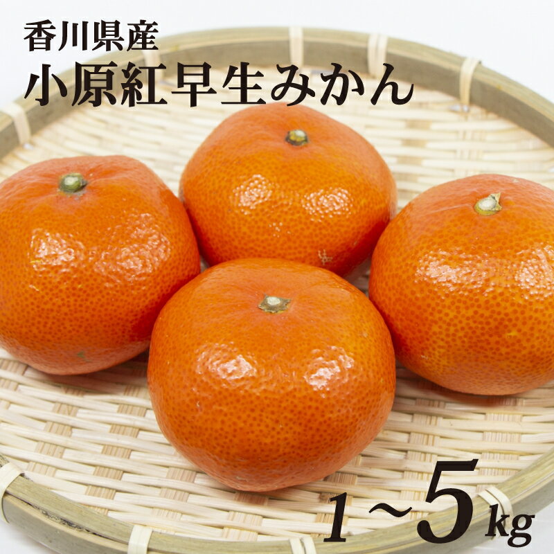 【ふるさと納税】 【先行予約】 小原紅早生みかん 選べる 約1kg~約5kg 常温 先行予約 みかん 早生 果物 フルーツ 香川県 丸亀市 11月から発送