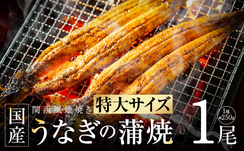099H3443 【ビッグサイズ】老舗五郎藤 国産 旨鰻 250g×1尾【関西風地焼き 特大 うなぎ ウナギ 蒲焼き 炭火 数量限定 有頭 北国からの贈り物 厳選】