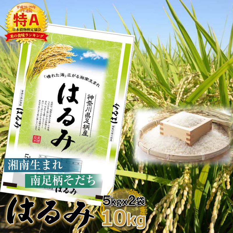 
                  【令和7年産】湘南生まれ 南足柄育ちのお米「はるみ」(精米)10kg(5kg×2袋)【 神奈川県 南足柄市 】【ギフト プレゼント 贈り物 お返し おいしい 仕送り ごはん おいしい 神奈川県 南足柄市 】
                