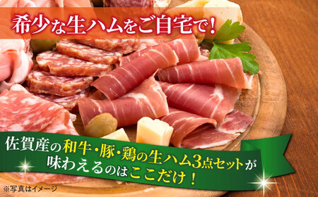 佐賀の生ハム3種で夢の饗宴 全3種（各3パック） / 佐賀県 [41AECT016]