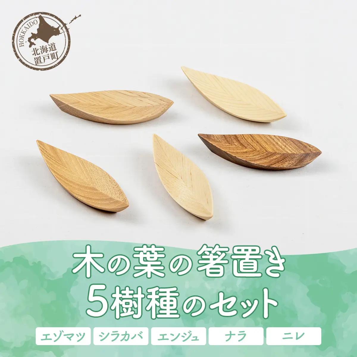 木の葉の箸置き 5樹種のセット（材質：エゾマツ、シラカバ、エンジュ、ナラ、ニレ各1個 計5個） OTA005