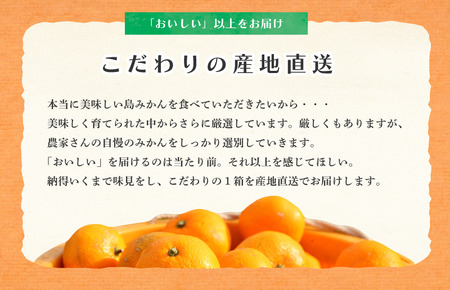 【先行予約】【受付は11月末まで！】ホリ田ヤ 大三島まどんな サイズばら 2.5キロ [KB00810]