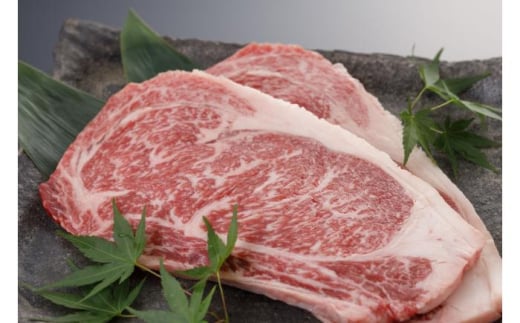 【全3回定期便】肥後の赤牛 ロースステーキ 約500ｇ【阿蘇牧場】 [AYBX093]