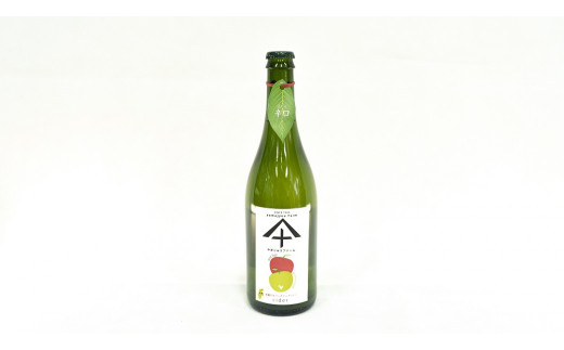 りんご シードル 辛口 ＆ 甘口 各1本 セット ( 750ml × 2本 ) やまじゅうファーム 沖縄県への配送不可 信州の環境にやさしい農産物 減農薬栽培 飲料 酒 アルコール りんご リンゴ 林