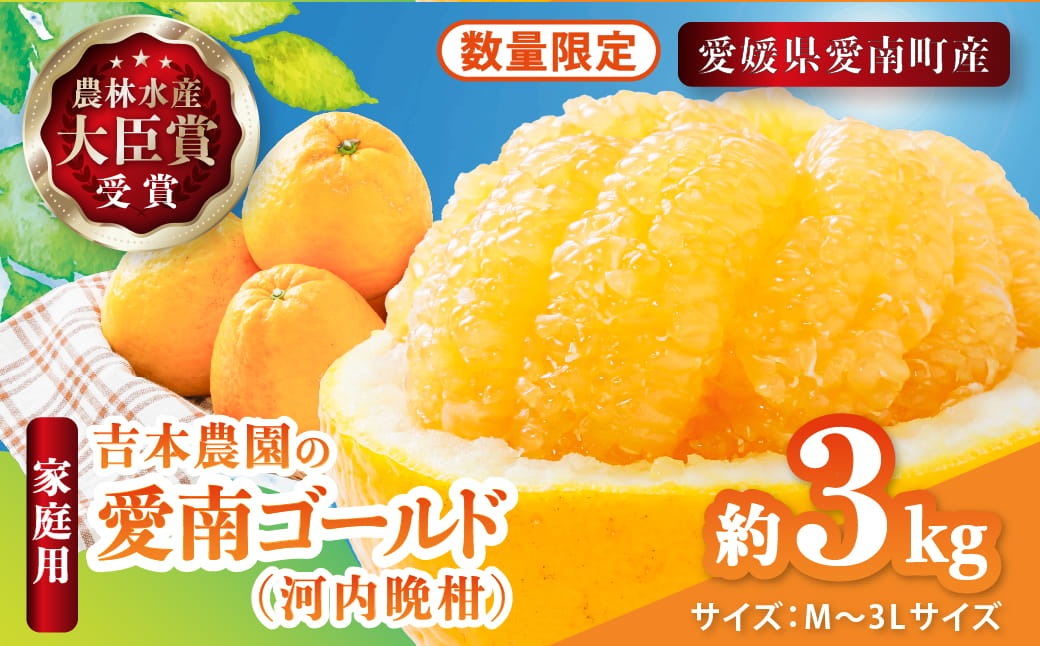 【先行予約】吉本農園の愛南ゴールド（河内晩柑）家庭用約3kg　＜柑橘 希少 果物 国産 フルーツ みかん 蜜柑  家庭用 和製 グレープフルーツ ブランド 果実 ビタミン 愛媛県 鬼北町＞ ※2026年4月上旬～8月上旬頃に順次発送予定