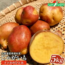 【ふるさと納税】じゃがいも インカのひとみ 5kg いも おいも 芋 イモ ジャガイモ ポテト インカ オンライン 申請 ふるさと納税 北海道 留寿都 野菜 根菜 産地直送 新鮮 採れたて 煮物 フライドポテト ポトフ 5キロ 留寿都村【24017】