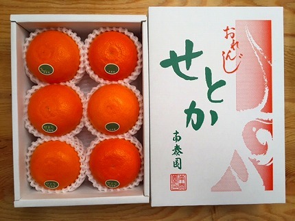 ハーフ 化粧箱 柑橘の大トロ ハウス せとか 厳選 6玉入 南泰園 	BS154 