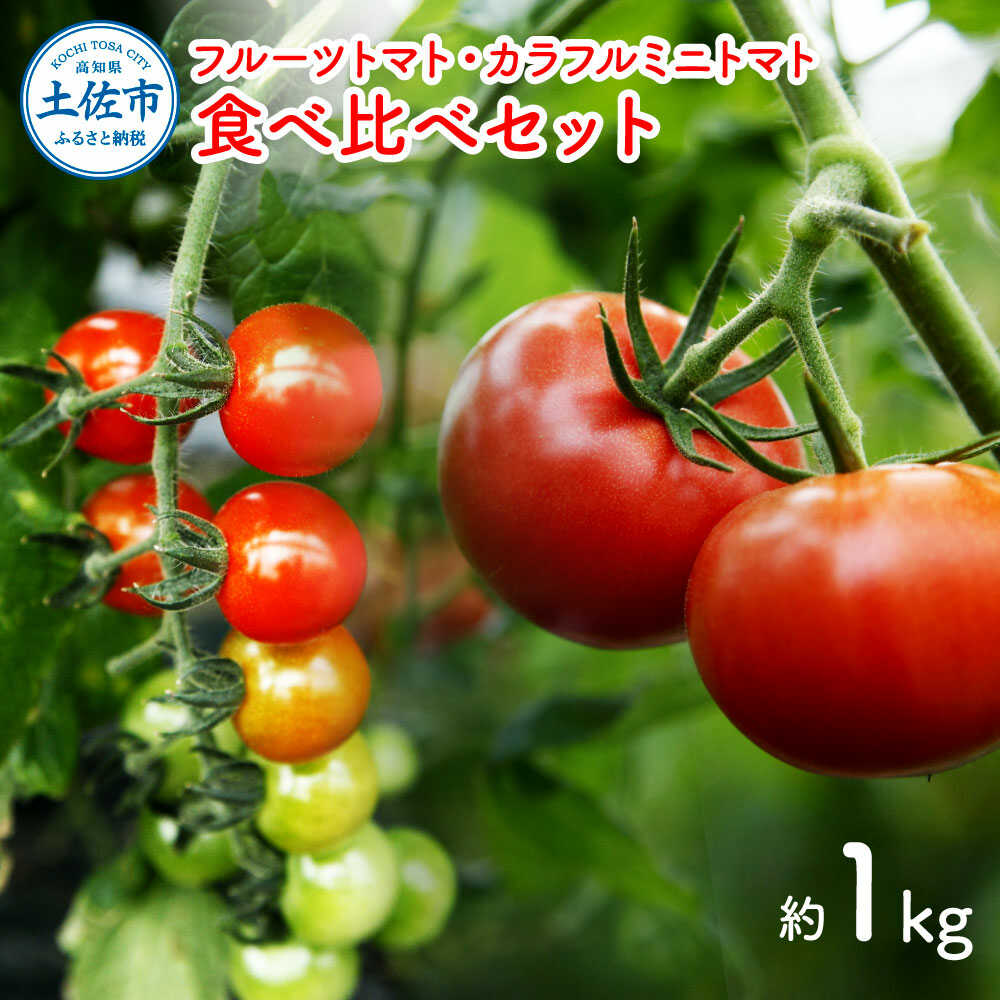 【ふるさと納税】【先行予約】フルーツトマト食べくらべセット 約1kg 〈2027年1月下旬から順次発送〉トマト フルーツトマト ミニトマト 詰め合わせ セット 新鮮野菜 ふるーつとまと フルーツミニトマト カラフル トマト とまと 美味しい 高知県土佐市/ファーム輝[BQBM003]