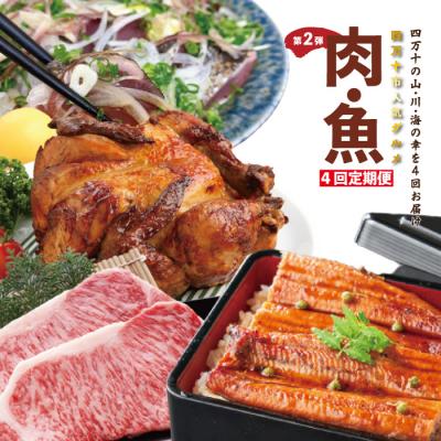 ふるさと納税 四万十市 【4ヵ月連続定期便】四万十市人気魚介&amp;お肉返礼品 第2弾 7