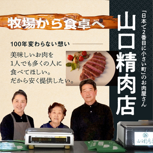 国産 牛 ローストビーフ 自家製 約 500g 冷凍 グルメ 母の日 父の日 ギフト
