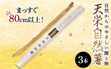 自然からのやさしい贈り物 天栄自然薯3本 贈答用にも 山芋 芋 イモ 根菜 福島県 天栄村 F21T-463