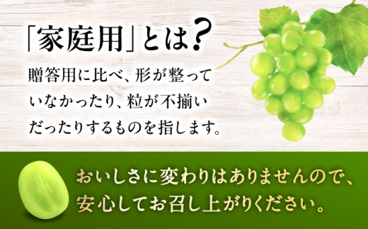 【先行予約】 家庭用 シャインマスカット 2kg (3から5房) ＜9月中旬頃から順次発送＞ ぶどう ブドウ 葡萄 マスカット フルーツ 三次市 / 芝床農園 [APCK007]