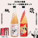 【ふるさと納税】 ばばあの梅酒 フルーティな梅酒2本セット（桃梅酒 12度・林檎梅酒 12度） 各720ml / 和歌山 田辺市 紀州南高梅 南高梅 梅 梅酒 ロック ソーダ割り ギフト 家飲み 酒 お酒 水割り ギフト プレゼント 富田の水 ばばあの梅酒 モモ 桃 リンゴ りんご