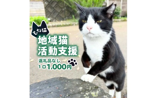 【返礼品なし】「むな猫（旧：てくてくさくらねこ）」　地域猫活動支援【むな猫】_HA1118