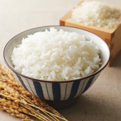 ふるさと納税 筑紫野市 【令和7年産】福岡県産 夢つくし10kg(5kg×2袋)(筑紫野市) |  | 01