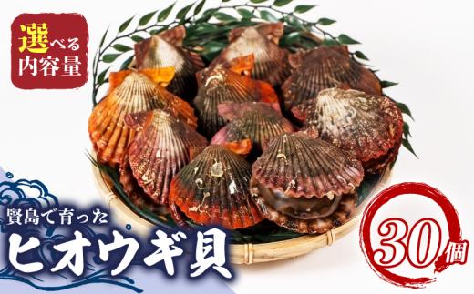ヒオウギ貝 30個 魚介 貝 ヒオウギ貝 ひおうぎ貝 酒蒸し 網焼き バター焼き バーベキュー 焼き貝 蒸し 獲れたて 冷蔵 あっぱ貝 三重県 志摩市